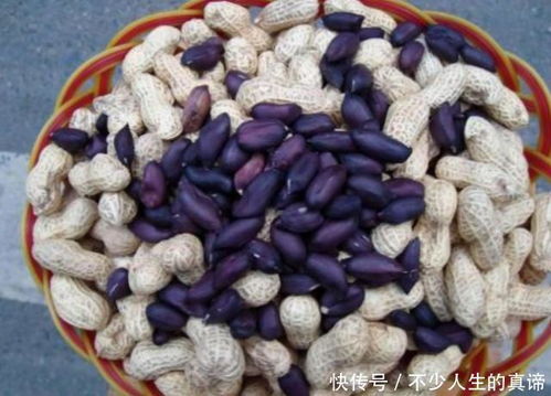 维花8号花生和黑花生每斤价格分别是多少？