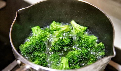 西兰花的种植技巧