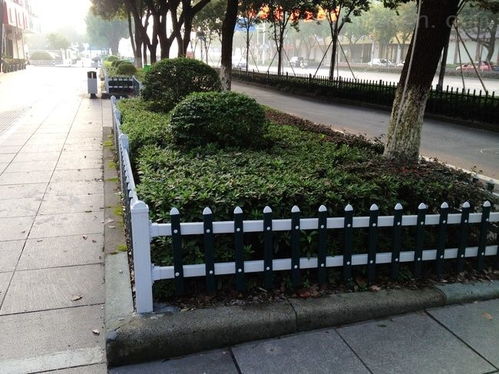 矮小的观赏植物， 也嫩Zuo围墙