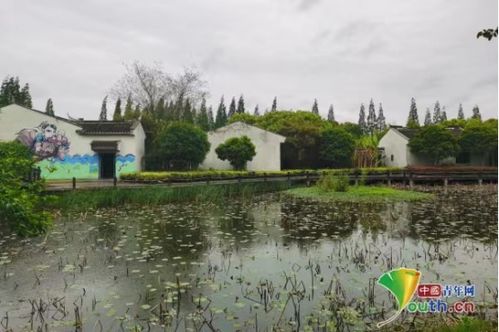 土壤的选择与搭配