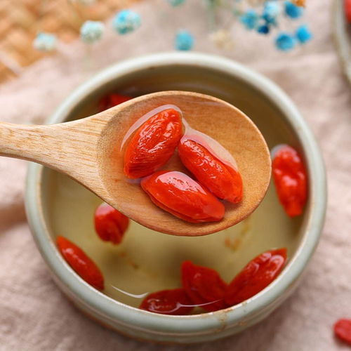 如何泡制野枸杞水