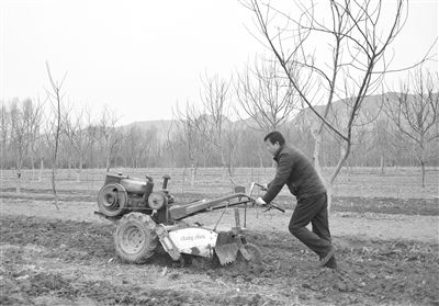 播种技巧，你得知道