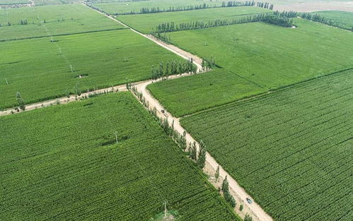 高标准农田建设与技术规范， 景观工程定位新篇章