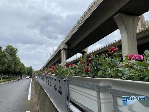 美化立交， 提升城市品质