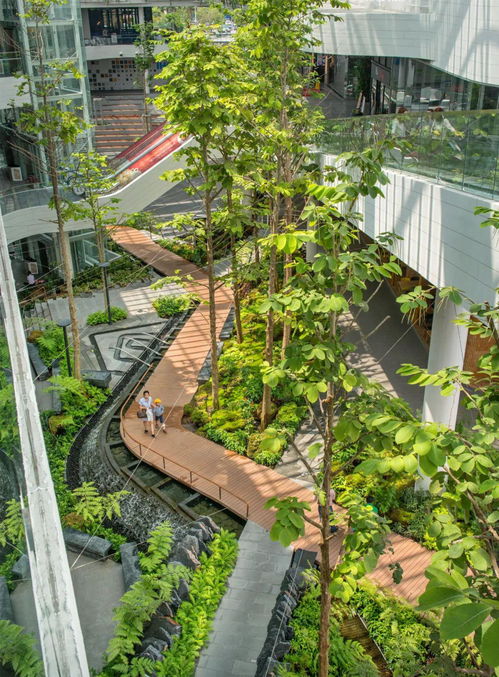 软硬景观的辩证关系