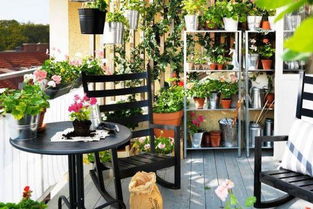 阳台养花架子如何布置？