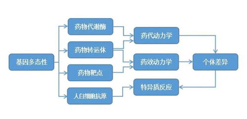 硬果核裂开，基因密码为何解锁