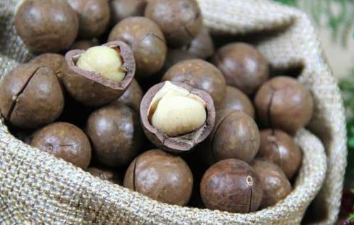 纯天然无公害的澳洲坚果，真的那么贵吗？