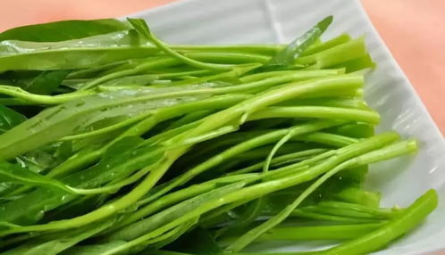 河南空心菜什么月份种植最合适？