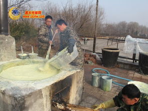 花卉病虫害防治，石硫合剂怎么正确使用