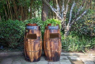 景观小品也离不开刚竹