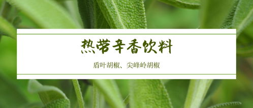 药用新贵：忧遁草