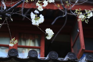 风花雪月，何为浪漫