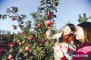 沈阳农业大学的耐寒试验