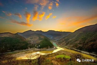 甘肃的乡土植物