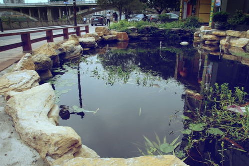 自然园林之美， 地形地貌的魔法手