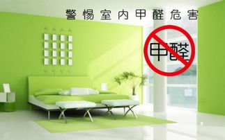 如何有效去除室内甲醛，简单又实用的方法大揭秘！