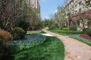 植物种类， 哎呀，那可多了去了让我想想啊...