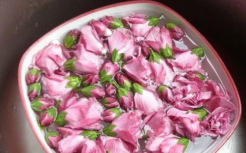 去蕊留香：指尖轻舞， 去除苦涩的花蕊