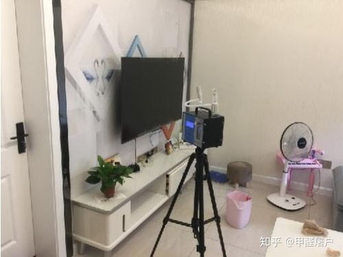 “薄荷能有效去除家居甲醛污染吗？有没有什么具体的使用方法