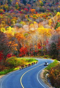 冬季防护，雪墙保暖