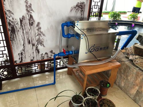 鱼池水质总变差怎么办？新手如何避免鱼儿死亡，保命指南有哪些？