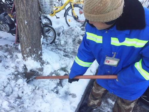 雪后苗木救护， 关键在“整形”与“补养”