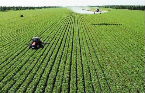 农药的诞生：一场与虫害的较量