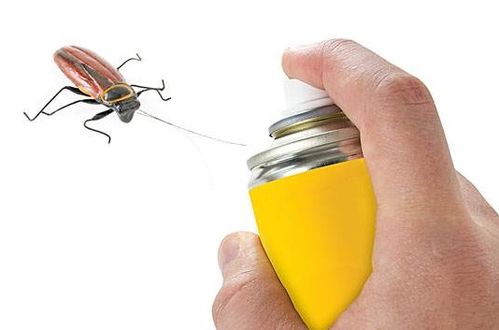 杀虫剂喷洒后进入室内的注意事项