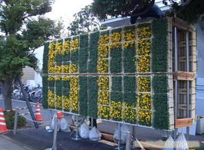 温江玉龙草批发市场的花车寻踪