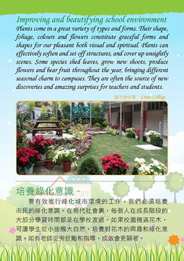 运动场边的小绿草