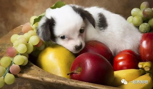 防范措施和应对方法