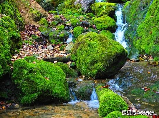 烂根的原因分析