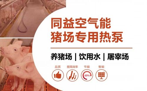 双胞胎猪饲料福星2号成分有哪些，对猪的生长发育有什么具体好处？