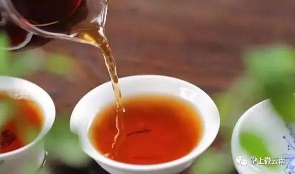 四季春茶的秘密是什么为什么它能在不同季节保持独特的口感和香气