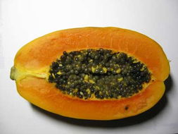 自创“黄金比例”，让你的木瓜籽梗美味！