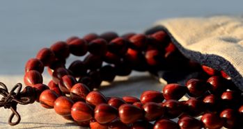 种子发黄怎么办？急救方案来啦！