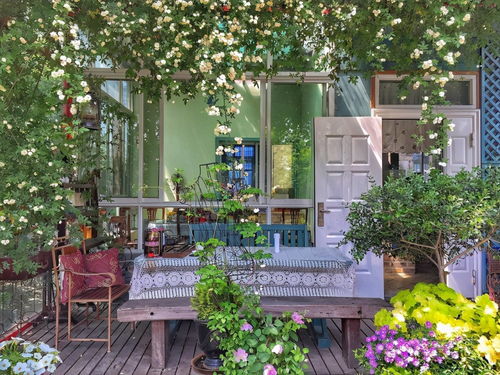 花草搭配，美得不要不要的