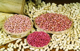 花生套餐与控旺， 合理搭配