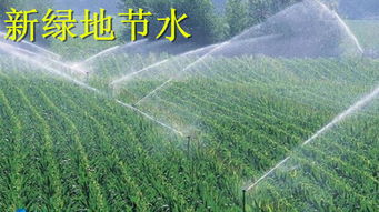 揭秘海陆间水循环：农业灌溉的新策略，高效节水之道！