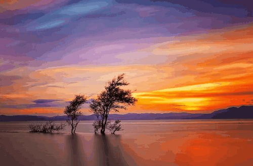 四季如春的厦门