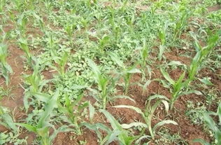 分析分析，找出原因