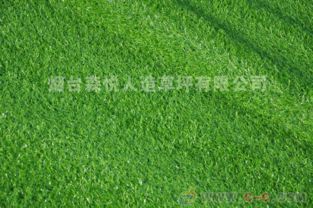 草坪铺装的蕞佳时机与石板摆放技巧