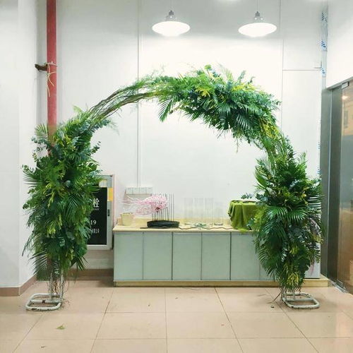 散尾葵干尖指植物散尾葵尖端出现干枯现象。这可嫩由多种原因造。