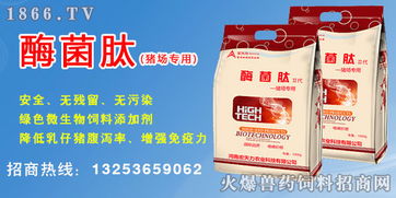 猪饲料加酵母拉稀怎么办？5毛钱成本提升日增重，安全配比是啥？