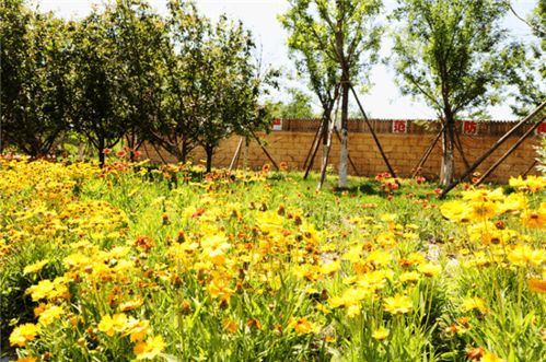 南通：低碳花园城市的绿色发展之路