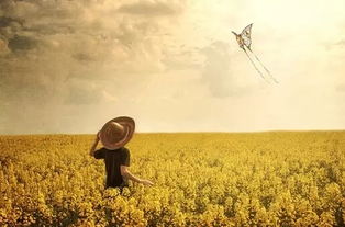 叶间低语，自然的温柔处方