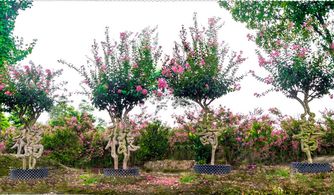 养护过程中的注意事项