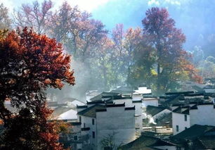 洋溪花林房子：特色不够突出