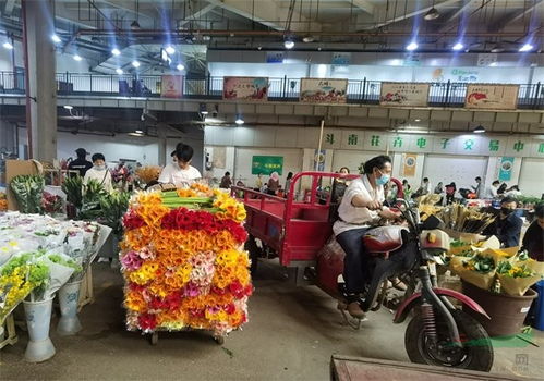 消费引领品种，时尚推动产业